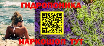 ПСИЛОЦИБИНОВЫЕ ГРИБЫ Коммунар