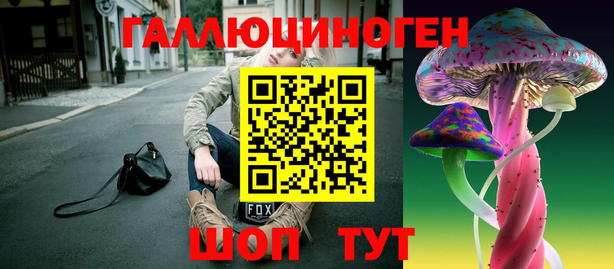Галлюциногенные грибы Psilocybine cubensis Корсаков
